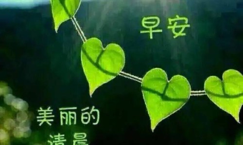 感冒一星期不好的原因-感冒一周不好怎么回事网 | 感冒一周不好怎么回事儿,感冒一周都不好怎么回事